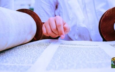 reflections on the catechism: the old covenant