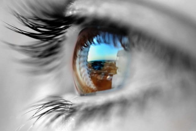 eyes [the gateway to the soul]