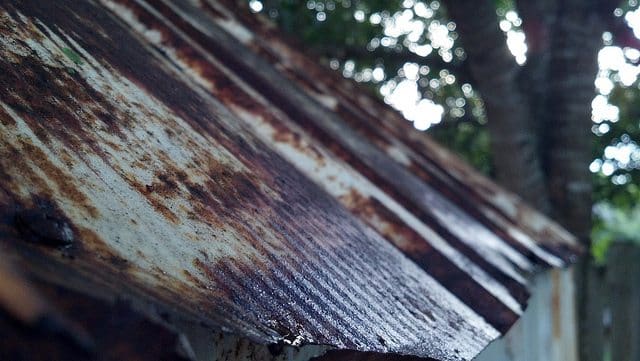 how taking pictures makes me a better writer