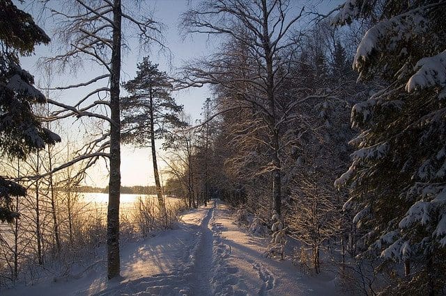 the path