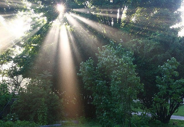 light giver