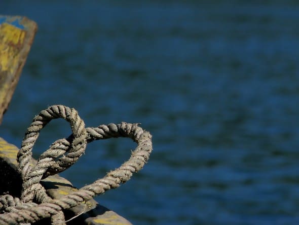 The love knot by Shafi