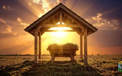 clothed in Light: a sermon for the first sunday of Christmas
