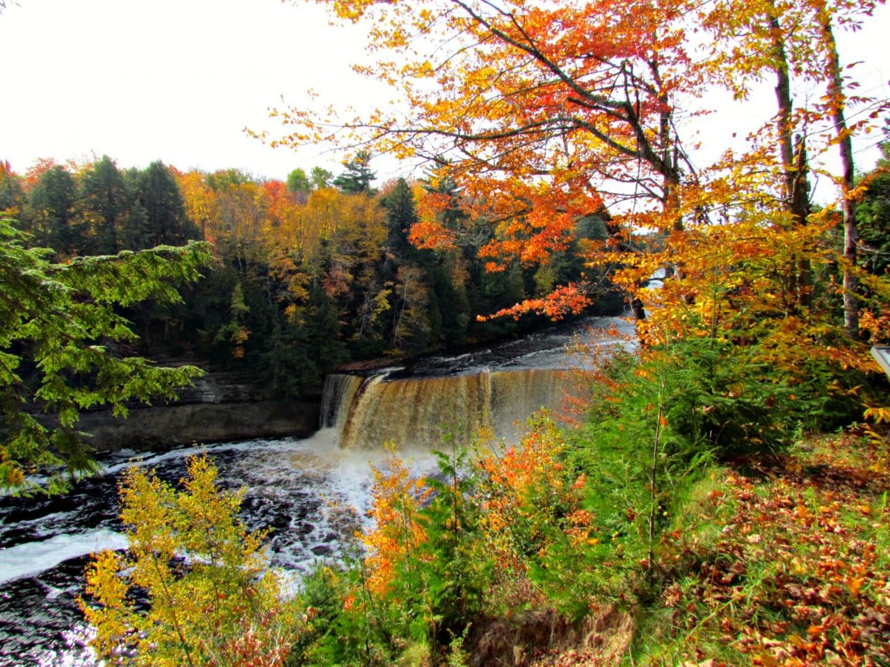 of waterfalls, honey, and mushrooms