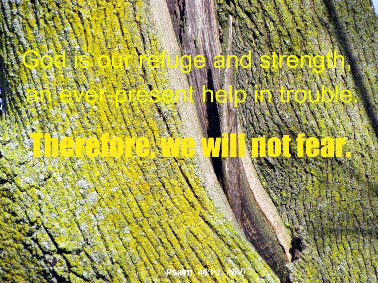 when fear rises