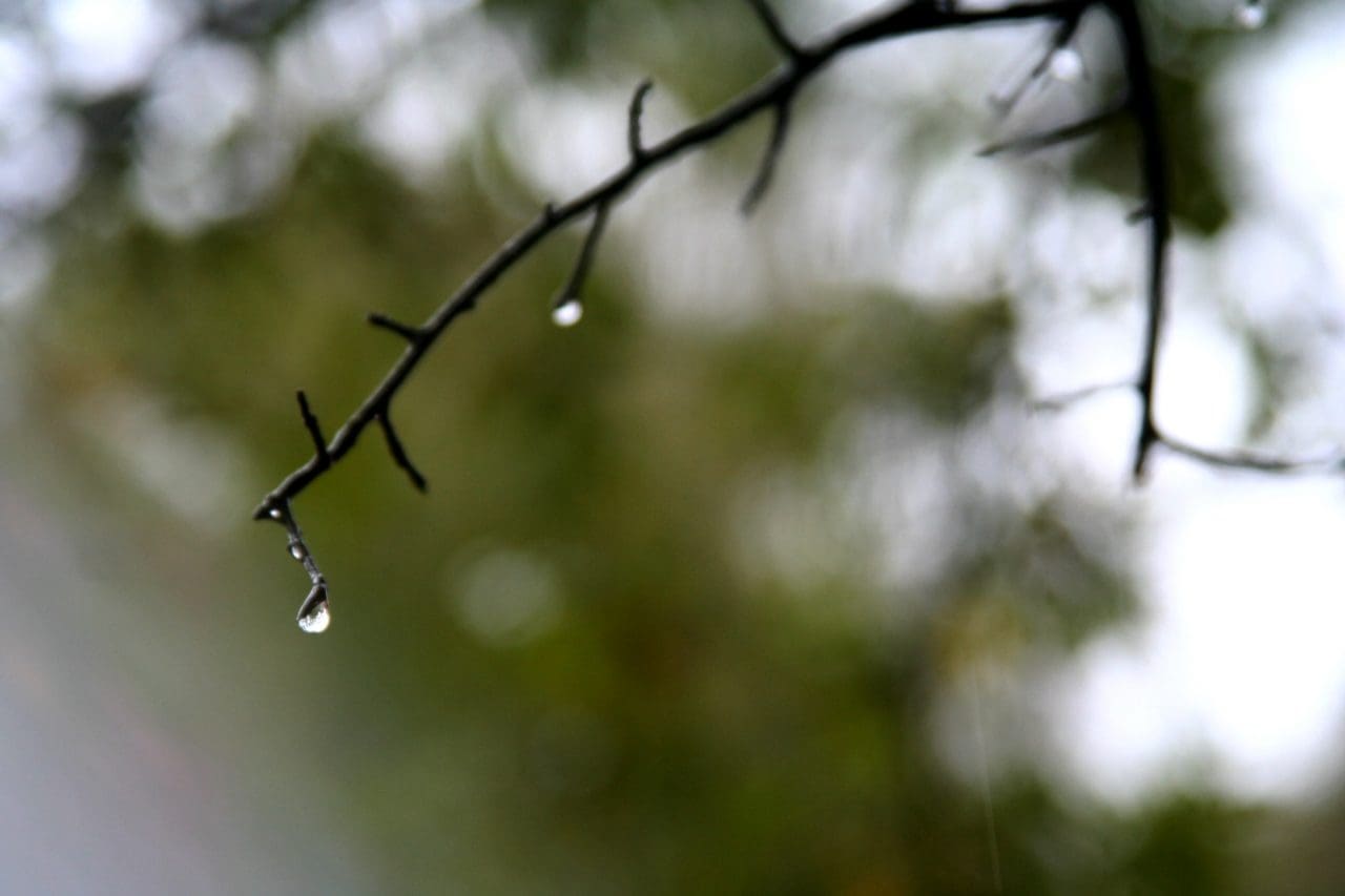 rainy day resistance