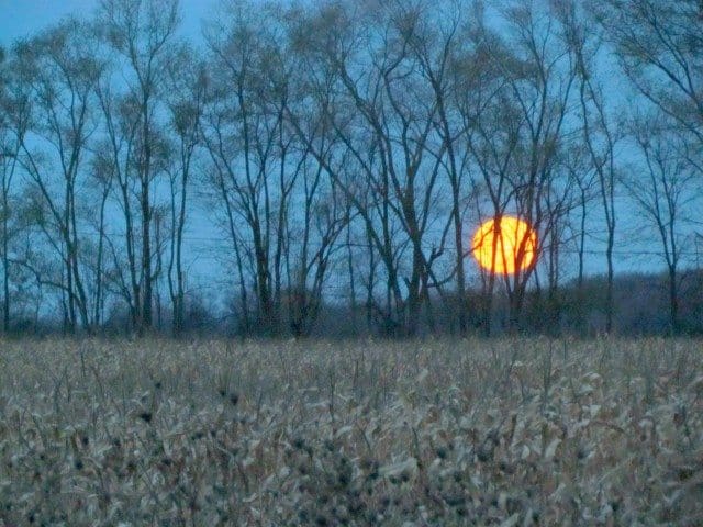 sandy moon
